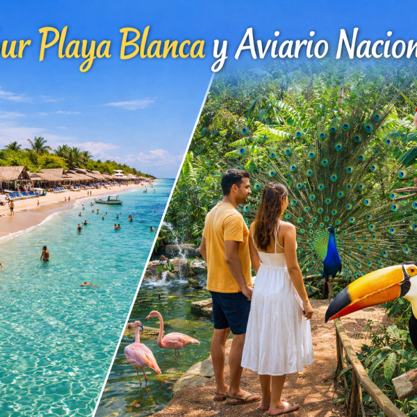 Tour Playa blanca con visita al Aviario Nacional